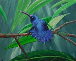 Painting: Violet Sabrewing